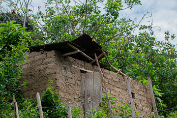 old house in the woods