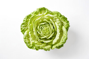 Fototapeta premium Fresh Green Cabbage on White Background