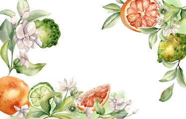Bergamot and grapefruit assorted and jasmine flowers in watercolor isolated on border. Hand drawn bright ripe citrus, branches fruit tree and flower botanical sketch for package, summer floral banner
