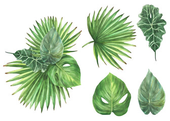 Bouquet of tropical green leaves, exotic home plant watercolor set. Monstera palm leaf, greenery jungle. Botanical composition clipart kit for card. Hand drawn illustration Isolated white background. 