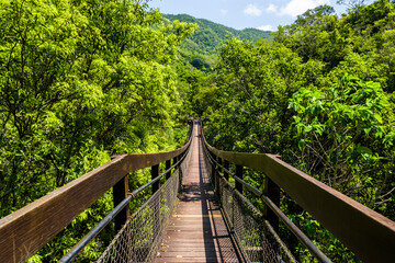 Suspension bridge through the green forest at Shuangliu National Forest Recreation Area in Pingtung, Taiwan.