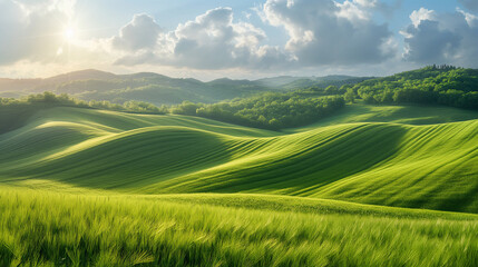 Fototapeta premium Perfect field of spring grass,