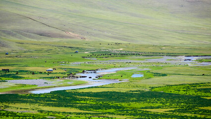 The lush Orkhon Valley and the herds of horses and sheep gathering by the pristine river