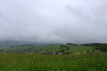 Hlingslandschaft Auf Dem Schauinsland Bei