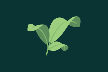 leaf design with modern concept premium vector