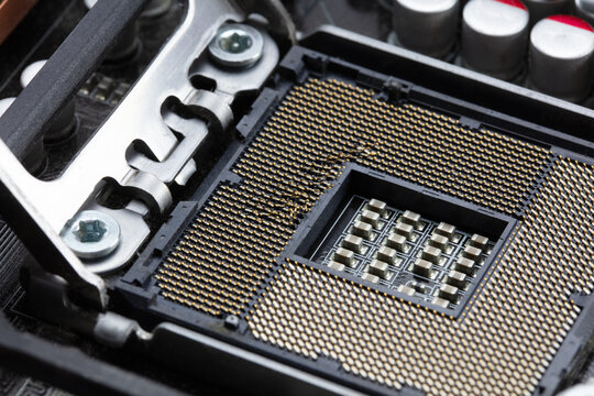 Damaged CPU socket. CPU socket with bent CPU contact terminals.