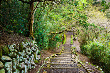 Obraz premium Hakone Nature trail around Lake Ashi in Hakone town, Kanagawa prefecture, Kanto, Japan.