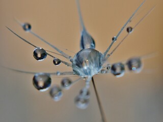 Water drops © Chips