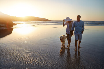 Ocean, couple and dog with walking at sunset for trust, outdoor fun and holiday together. Waves,...