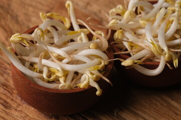 Mung bean sprouts are a culinary vegetable grown by sprouting mung beans. Bean sprouts in the wooden bowl. Tauge. Kecambah.