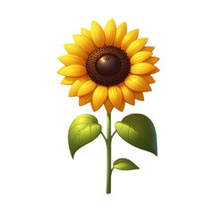 Sunflower isolated on transparent background