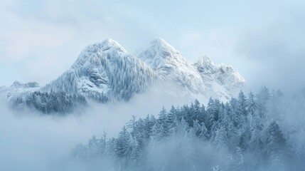 Obraz premium Snow covered mountain peaks with tree cover shrouded in mist during the morning hours