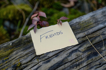Handwritten Note "Friends" Pinned to a Weathered Wooden Surface