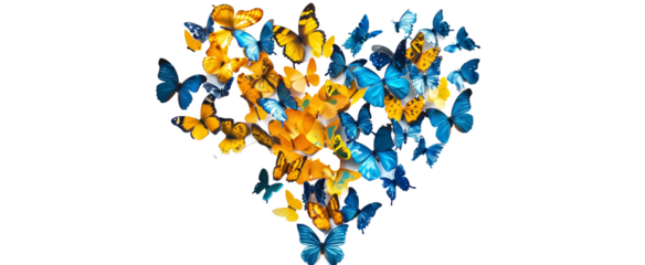 heart made With Blue end Yellow butterflies confettis .love and