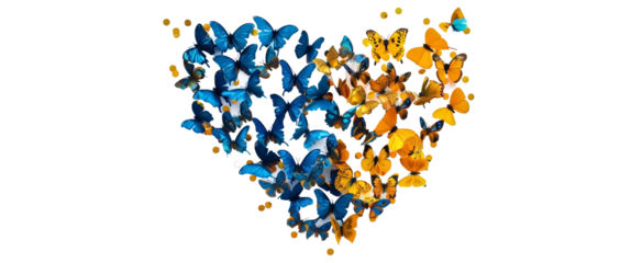 heart made With Blue end Yellow butterflies confettis .love and