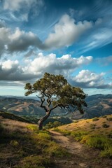 Fototapeta premium Scenic California Landscape Featuring Lonley Tree and Rolling Hills Under Dramatic Sky Ideal for Nature Posters and Prints