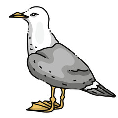 Illustration de mouette