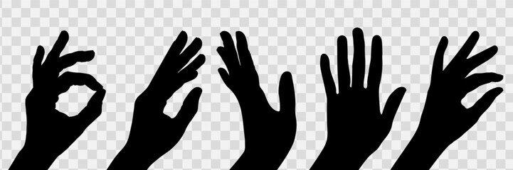 Black realistic silhouette or outline of female hands isolated on a transparent background. Arms, palms, fingers, hands.