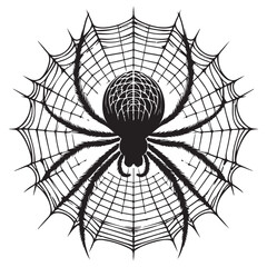 Obraz premium Vector Illustration of a Spider and a Web