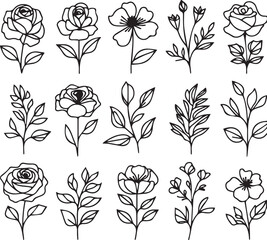 One line drawing Set of a decorative fresh blossoming rose silhouette with leaves isolated on white background hand drawn sketch. Vector stock illustration