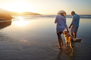 Beach, walk and couple with dog at sunset for outdoor adventure, travel and holiday together. Peace, man and woman with furry pet by ocean water for support, love and summer vacation in California