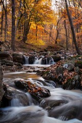 Serene Autumn Landscape in Maryland Forest Perfect for Nature Themed Prints, Cards, and Posters