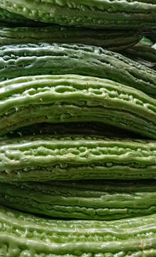 Green, bitter ampalaya vegetable from Philippines