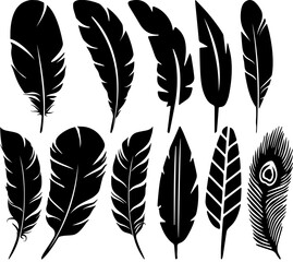 Obraz premium Feathers Set of Vector Collection
