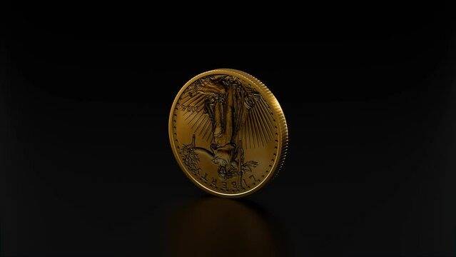 Gold 1 OZ American Eagle Bullion Coin 50 Dollars USA