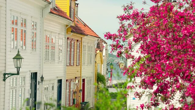 Cozy alley in Bergen, Norway with old wooden houses. A colorful tree in the foreground and the fjord in the background. Located in Skuteviken near Sandviken.