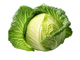 a head of cabbage with leaves