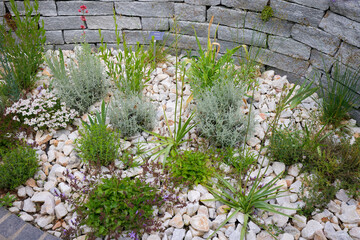 Steinmauer mit vielen Pflanzen, Gartengestaltung