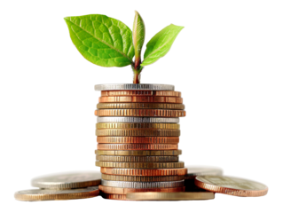 a stack of coins with a plant growing from it