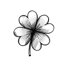 shamrock, cloverleaf, hand drawn pencil drawing, transparent PNG, illustration 