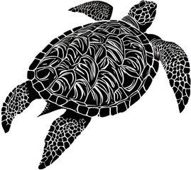 Graceful sea turtle captured in stunning black and white imagery. 