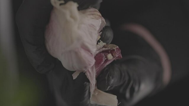 Close-up shot of garlic being peeled.