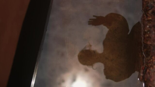 Shadowy reflection of a person in water, creating a mysterious and eerie atmosphere