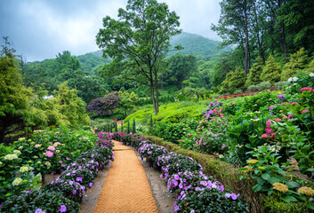 garden with flowers