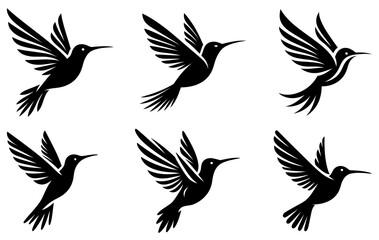 Obraz premium Flying bird icons set. Black silhouette of hummingbird bird. Vector illustration
