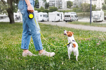 Female person walking jack russel terrier dog in city park grassland. Young adult pet owner happy...