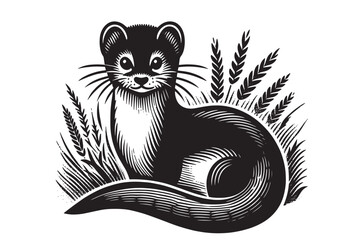  Weasel.
 Vintage engraving vector black illustration. Sketch, emblem, logo