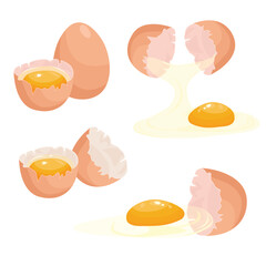 Egg vector set. Flat vector in cartoon style isolated on white background.