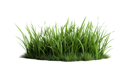 Lush Green Grass Clump Isolated on Transparent Background, PNG