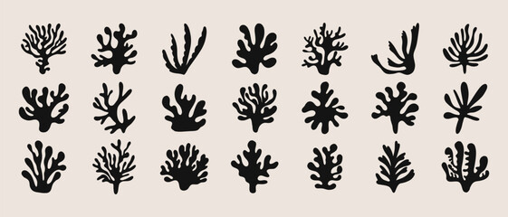 Abstract coral shapes. Floral organic elements for print design, ontemporary botanical cutout silhouettes. Trendy minimal vector set