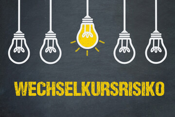 Wechselkursrisiko	
