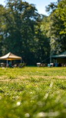 Obraz premium Sunny Camping Field A Serene Day of Leisure and Relaxation