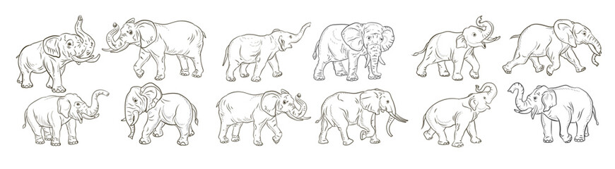 Animals. an image of a large elephant, a coloring book for children. A vector image.