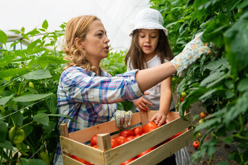 Happy single mother picking fresh vegetable with her daughter. Self-sufficient family fresh produce.