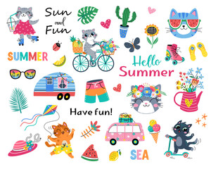 Hello Summer Cat collection. Vector illustration of colorful funny cute doodle summer symbols, such as flamingo, ice cream, palm tree. isolated on white background