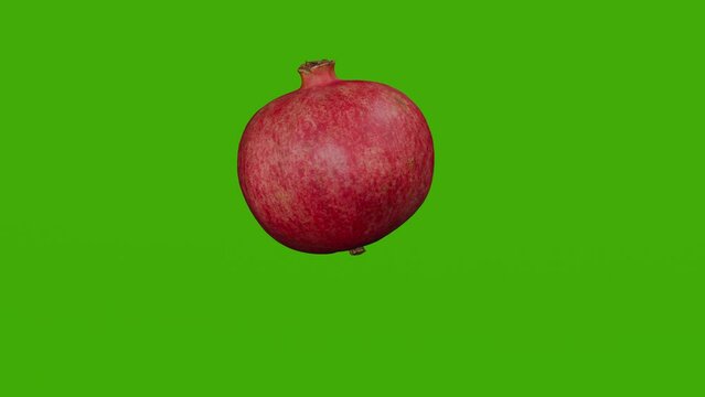 pomegranate fruit rotates on the green screen